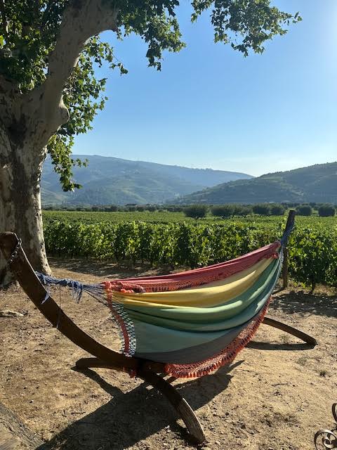 Quinta da Pacheca,&nbsp;Portugal