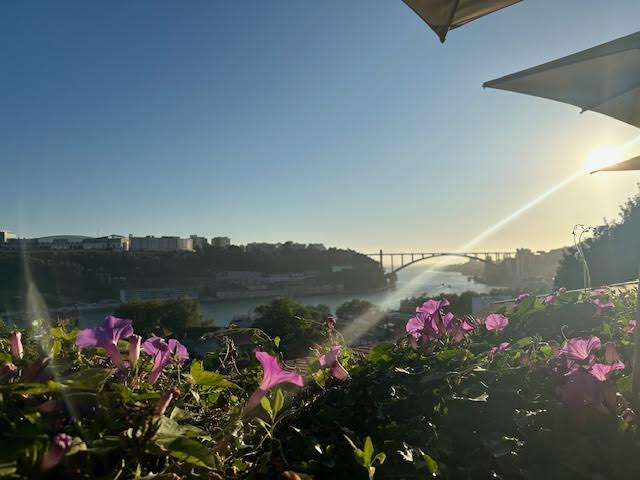 Casa Nobre do Cais Novo and Antiqvvm, Porto,&nbsp;Portugal
