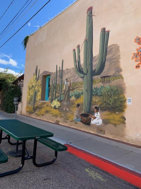 Sonoran Desert and Tucson, Arizona